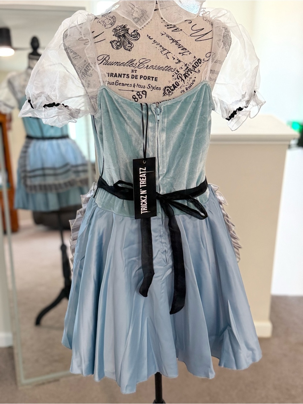 Light Blue Organza Puff Sleeve Corset Dress with Apron - Picture 5 of 10